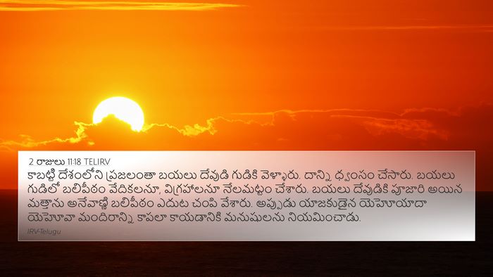 2 రాజులు 11:18 TELIRV Bible Verse Image