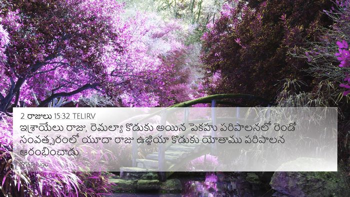 2 రాజులు 15:32 TELIRV Bible Verse Image