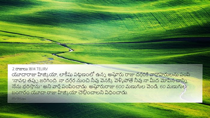 2 రాజులు 18:14 TELIRV Bible Verse Image