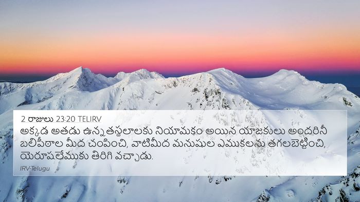 2 రాజులు 23:20 TELIRV Bible Verse Image