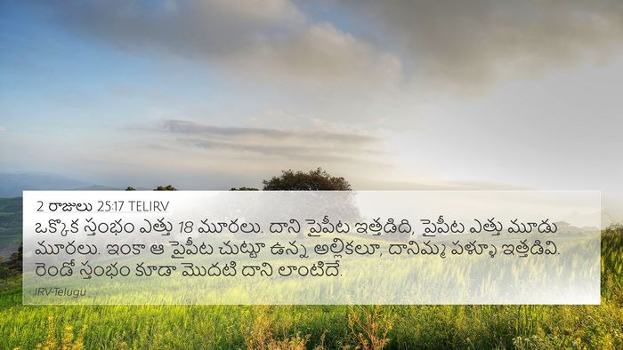 2 రాజులు 25:17 TELIRV Bible Verse Image