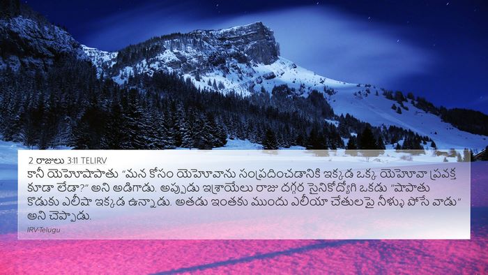 2 రాజులు 3:11 TELIRV Bible Verse Image