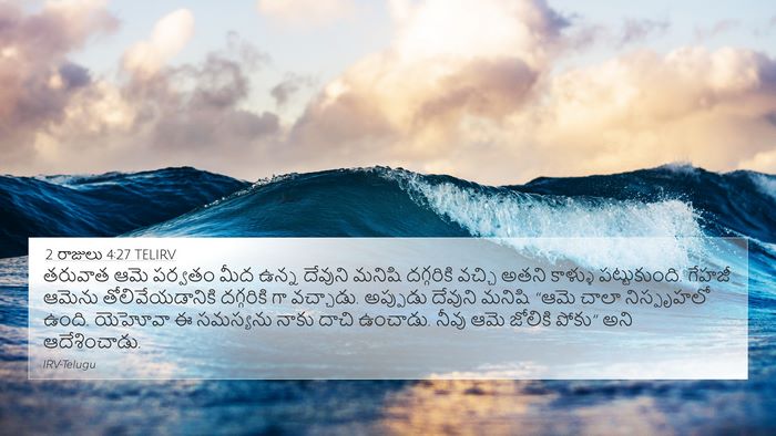 2 రాజులు 4:27 TELIRV Bible Verse Image
