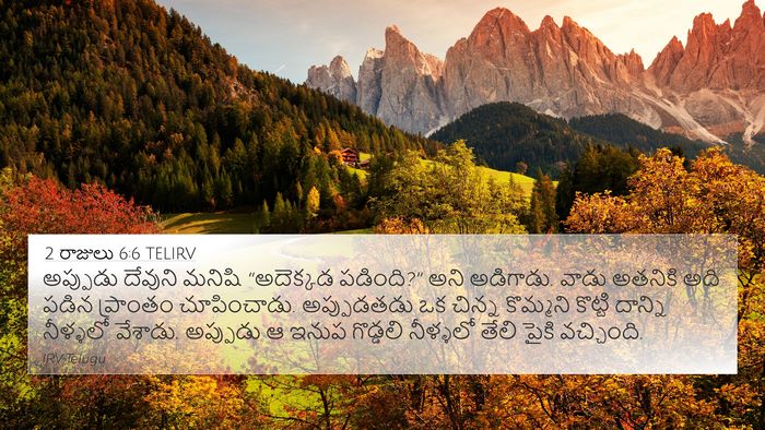 2 రాజులు 6:6 TELIRV Bible Verse Image