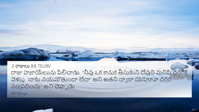 2 రాజులు 8:8 TELIRV Bible Verse Image