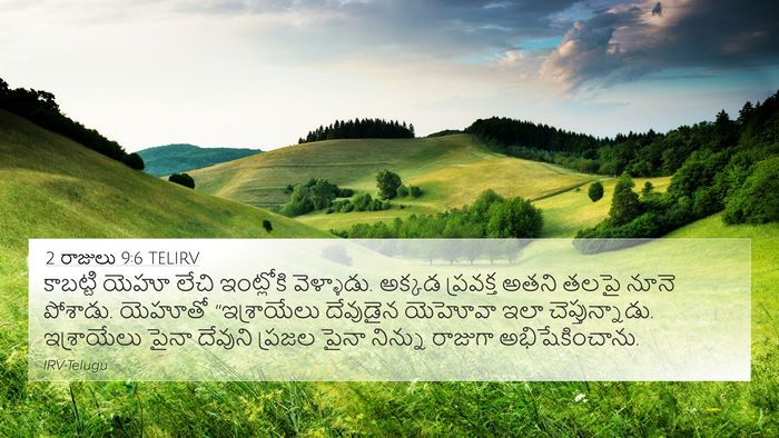 2 రాజులు 9:6 TELIRV Bible Verse Image