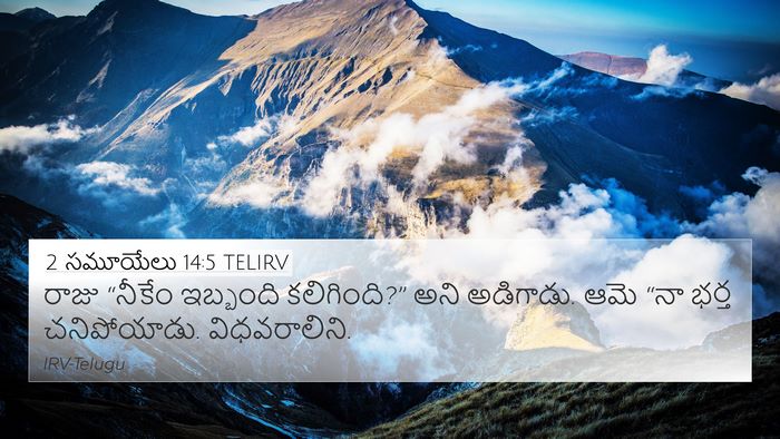 2 సమూయేలు 14:5 TELIRV 4K Wallpaper - రాజు “నీకేం - 4K Wallpaper Bible Verse