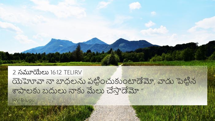 2 సమూయేలు 16:12 TELIRV Bible Verse Image