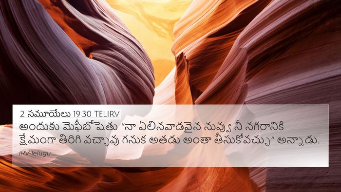 2 సమూయేలు 19:30 TELIRV 4K Wallpaper - అందుకు మెఫీబోషెతు - 4K Wallpaper Bible Verse
