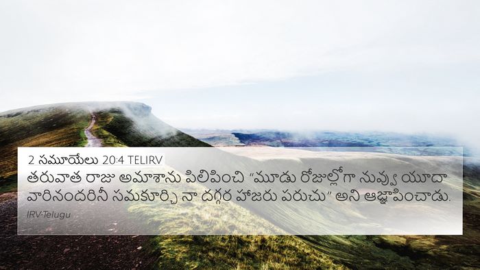 2 సమూయేలు 20:4 TELIRV 4K Wallpaper - తరువాత రాజు - 4K Wallpaper Bible Verse