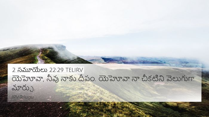 2 సమూయేలు 22:29 TELIRV Bible Verse Image