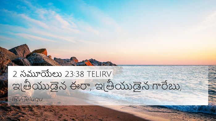 2 సమూయేలు 23:38 TELIRV Bible Verse Image
