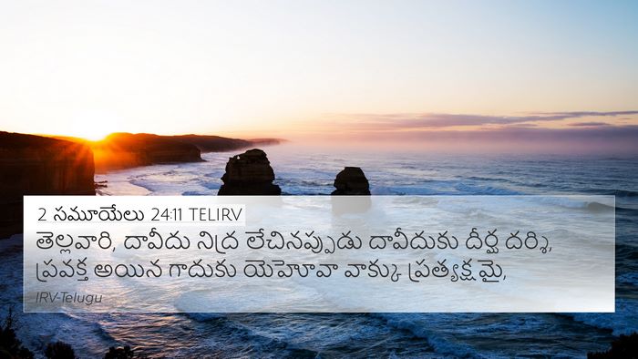 2 సమూయేలు 24:11 TELIRV Bible Verse Image