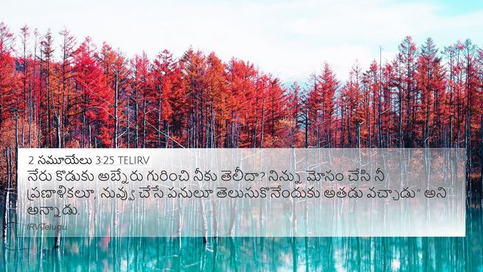 2 సమూయేలు 3:25 TELIRV 4K Wallpaper - నేరు కొడుకు - 4K Wallpaper Bible Verse