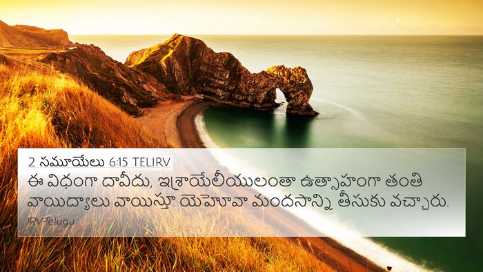 2 సమూయేలు 6:15 TELIRV Bible Verse Image