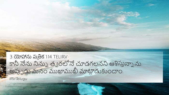3 యోహాను పత్రిక 1:14 TELIRV Bible Verse Image