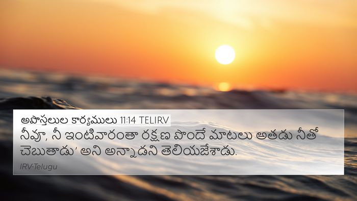 అపొస్తలుల కార్యములు 11:14 TELIRV Bible Verse Image