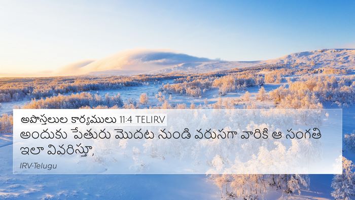 అపొస్తలుల కార్యములు 11:4 TELIRV Bible Verse Image