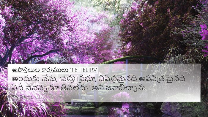 అపొస్తలుల కార్యములు 11:8 TELIRV Bible Verse Image
