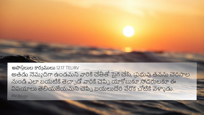 అపొస్తలుల కార్యములు 12:17 TELIRV Bible Verse Image
