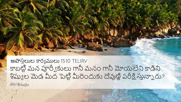 అపొస్తలుల కార్యములు 15:10 TELIRV Bible Verse Image