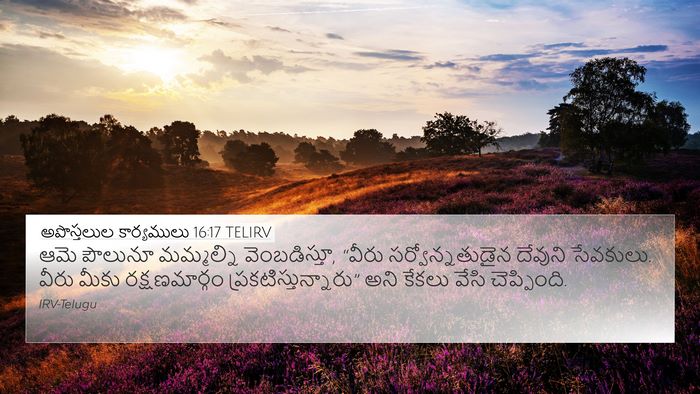 అపొస్తలుల కార్యములు 16:17 TELIRV Bible Verse Image