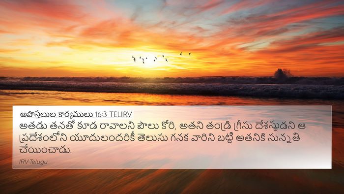 అపొస్తలుల కార్యములు 16:3 TELIRV 4K Wallpaper - అతడు తనతో కూడ - 4K Wallpaper Bible Verse