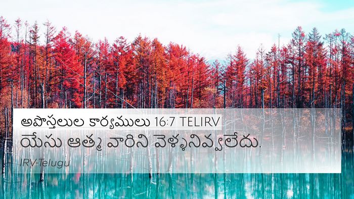 అపొస్తలుల కార్యములు 16:7 TELIRV Bible Verse Image