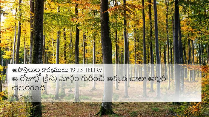 అపొస్తలుల కార్యములు 19:23 TELIRV Bible Verse Image