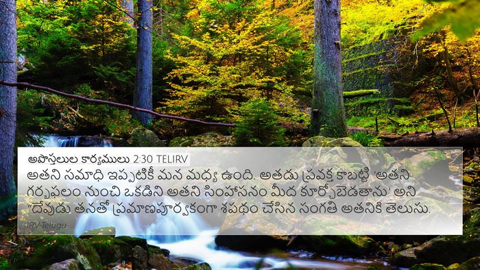 అపొస్తలుల కార్యములు 2:30 TELIRV Bible Verse Image