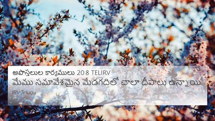 అపొస్తలుల కార్యములు 20:8 TELIRV Bible Verse Image