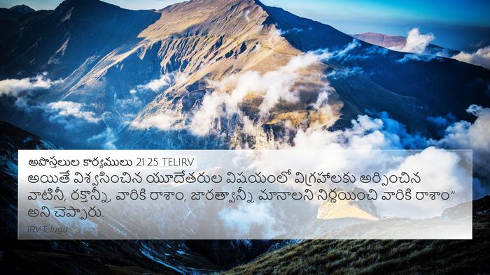 అపొస్తలుల కార్యములు 21:25 TELIRV Bible Verse Image