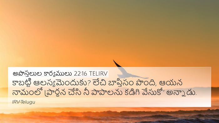 అపొస్తలుల కార్యములు 22:16 TELIRV Bible Verse Image