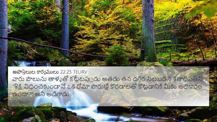 అపొస్తలుల కార్యములు 22:25 TELIRV Bible Verse Image