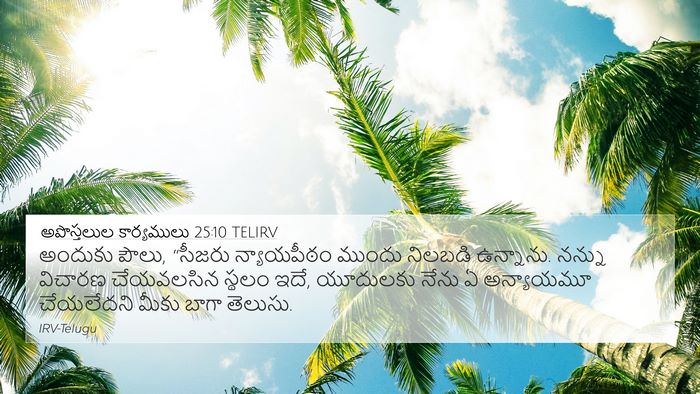 అపొస్తలుల కార్యములు 25:10 TELIRV Bible Verse Image
