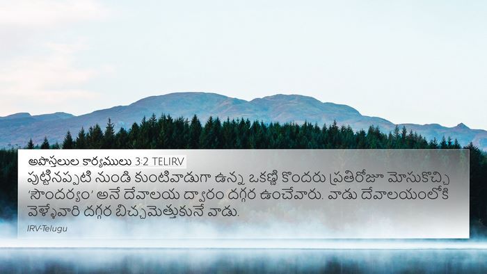అపొస్తలుల కార్యములు 3:2 TELIRV Bible Verse Image