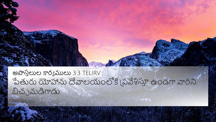 అపొస్తలుల కార్యములు 3:3 TELIRV 4K Wallpaper - పేతురు యోహాను - 4K Wallpaper Bible Verse