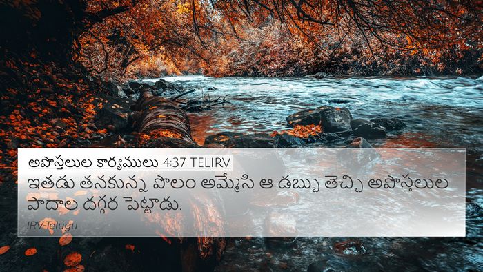 అపొస్తలుల కార్యములు 4:37 TELIRV Bible Verse Image