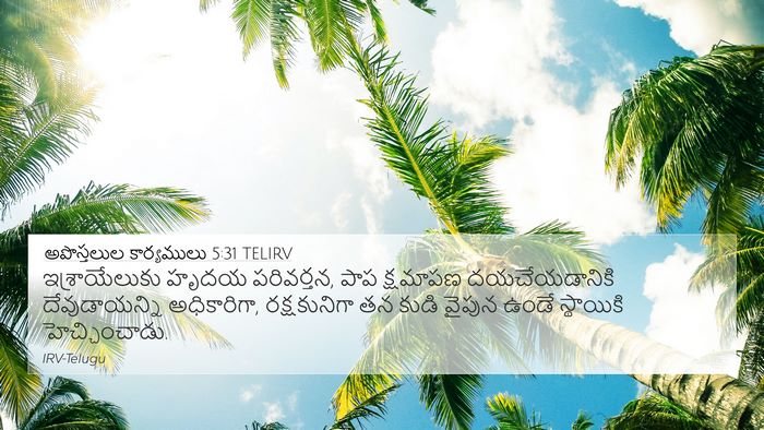 అపొస్తలుల కార్యములు 5:31 TELIRV Bible Verse Image