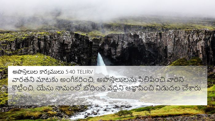 అపొస్తలుల కార్యములు 5:40 TELIRV Bible Verse Image