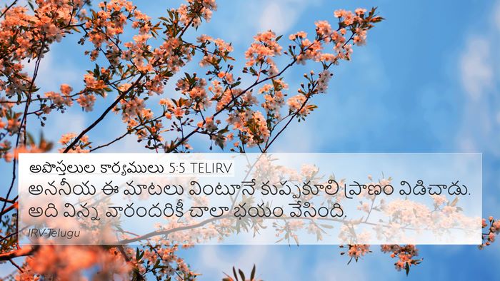 అపొస్తలుల కార్యములు 5:5 TELIRV Bible Verse Image