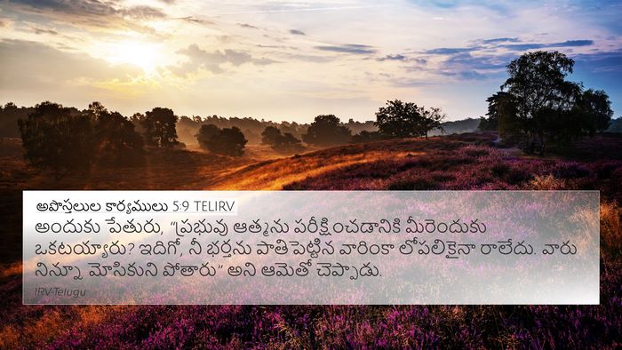 అపొస్తలుల కార్యములు 5:9 TELIRV Bible Verse Image