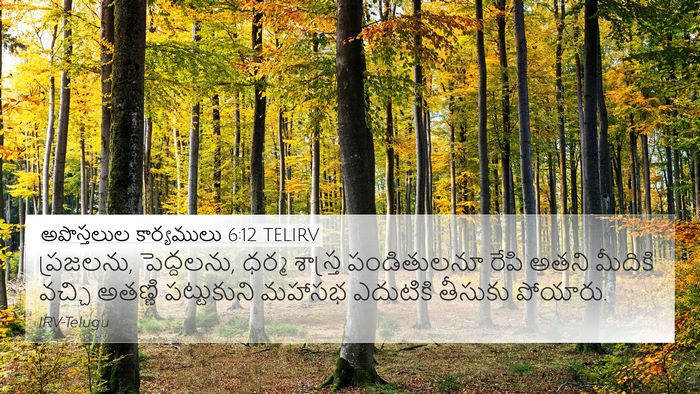 అపొస్తలుల కార్యములు 6:12 TELIRV Bible Verse Image
