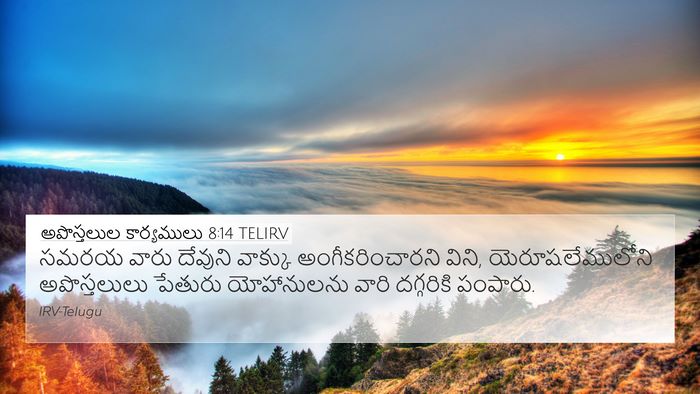 అపొస్తలుల కార్యములు 8:14 TELIRV Bible Verse Image
