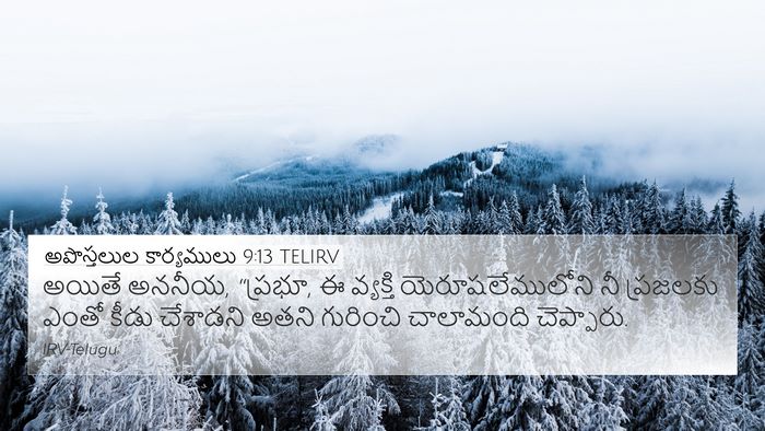 అపొస్తలుల కార్యములు 9:13 TELIRV Bible Verse Image
