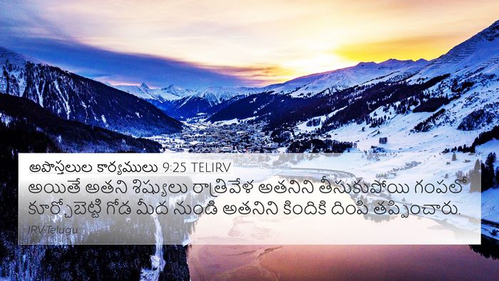 అపొస్తలుల కార్యములు 9:25 TELIRV Bible Verse Image