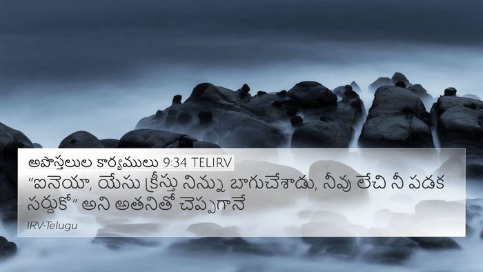 అపొస్తలుల కార్యములు 9:34 TELIRV Bible Verse Image