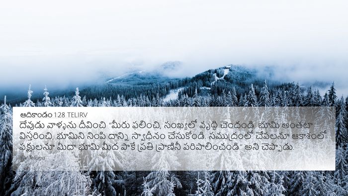 ఆదికాండం 1:28 TELIRV Bible Verse Image