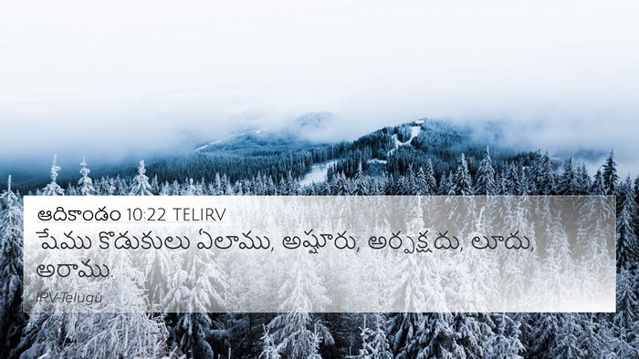 ఆదికాండం 10:22 TELIRV Bible Verse Image