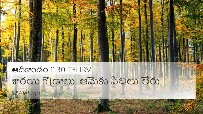 ఆదికాండం 11:30 TELIRV Bible Verse Image